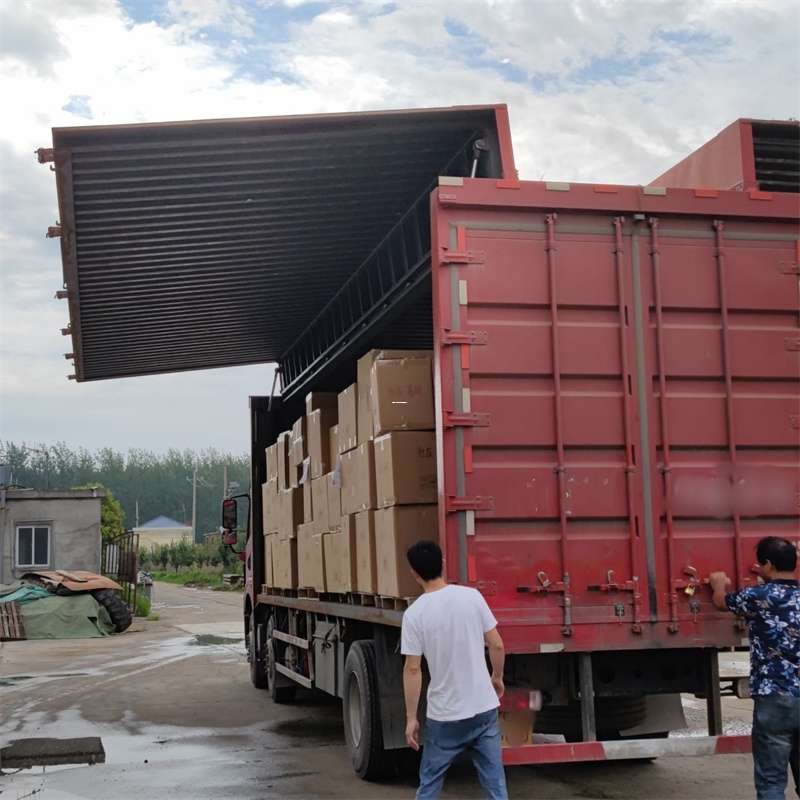 德格县扎囊县：物流专线的高效货运之旅